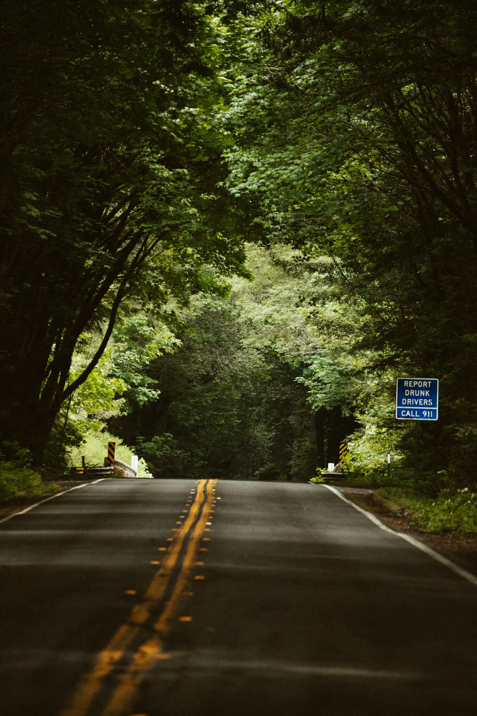 A two-lane road leads through a dense forest. A blue sign reads, "Report Drunk Drivers Call 911."
